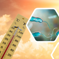 High summer temperatures can bring increased legionella risks
